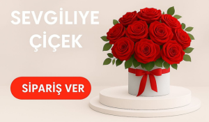 Sevgiliye Çiçek