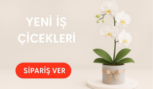 Yeni İş Çiçekleri