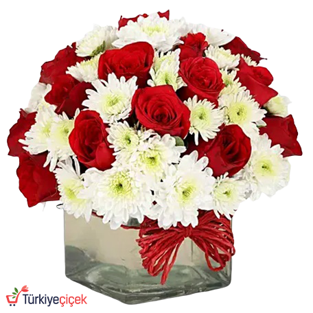GÜL VE PAPATYALAR