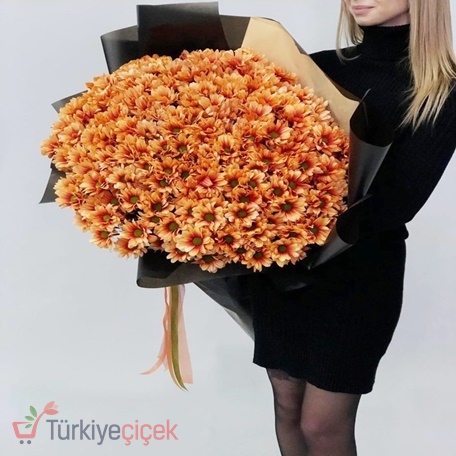 GÜN BATIMI IŞILTISI (ORANJ PAPATYA) 