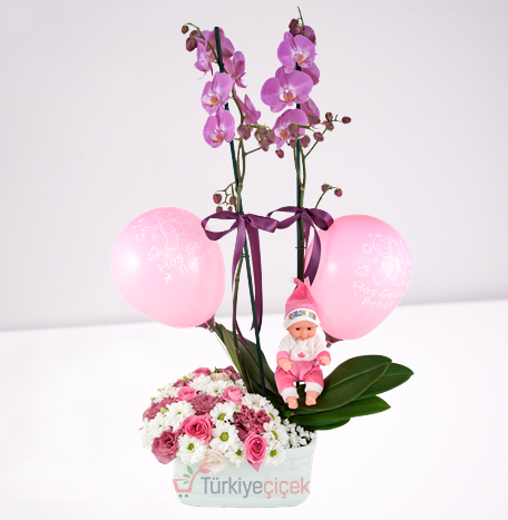 PEMBE BEBEK ORKİDESİ