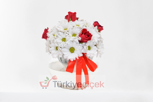FANUSTA GÜLLER VE PAPATYA