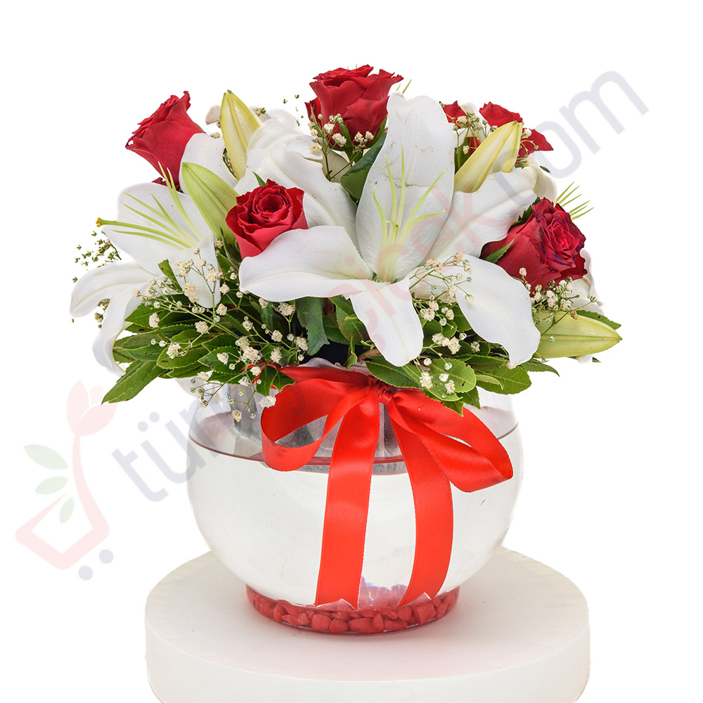 FANUSTA GÜL VE LİLYUM