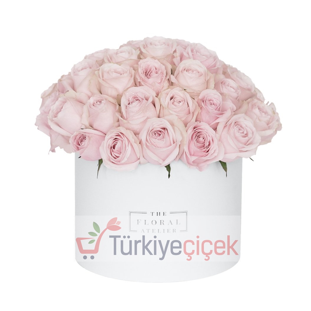 KUTUDA 50 ADET PEMBE GÜL