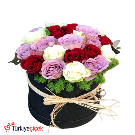 RENKLİ GÜLLER