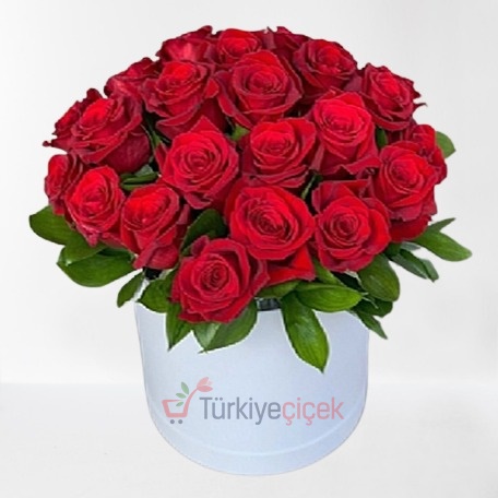 KALPTEN 25 (KUTUDA 25 KIRMIZI GÜL)