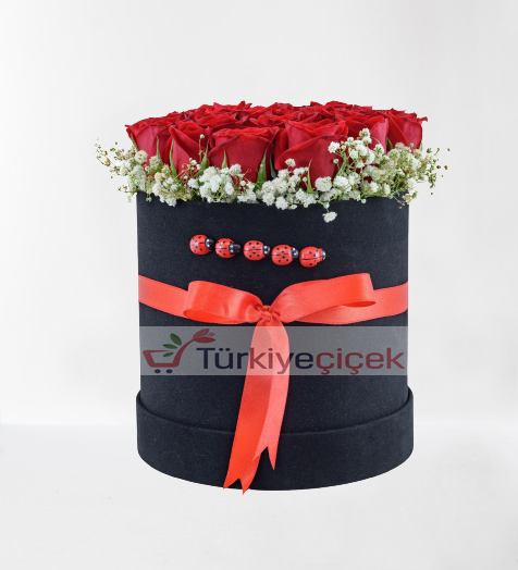 KUTUDA 20 ADET KIRMIZI GÜL