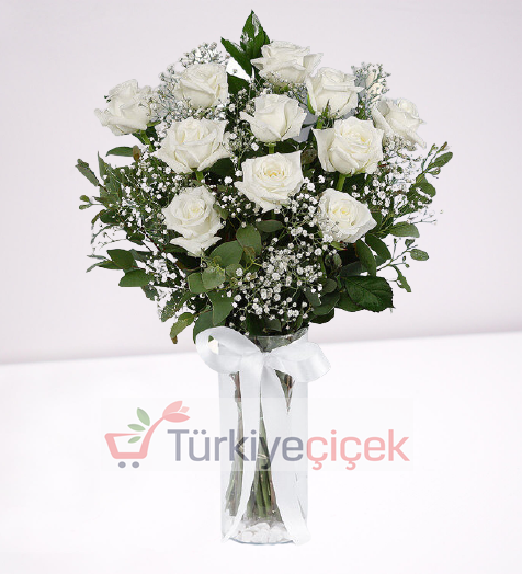 VAZODA 11 BEYAZ GÜL