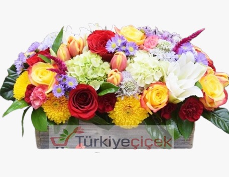 RENKLİ ÇİÇEK BAHÇESİ