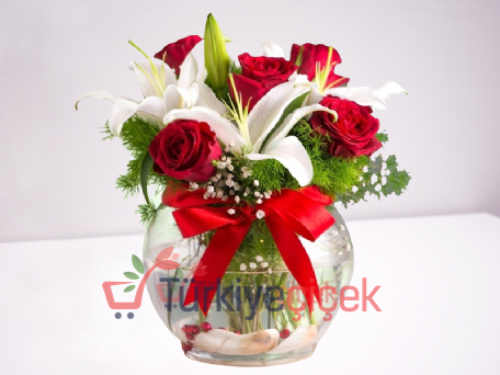 FANUSTA GÜL VE LİLYUM