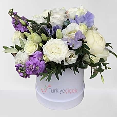 COLOR SYMPHONY (PURPLE WHITE IN BOX ARRANGEMENT)