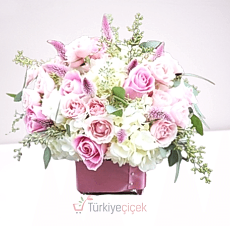 LOVE GARDEN